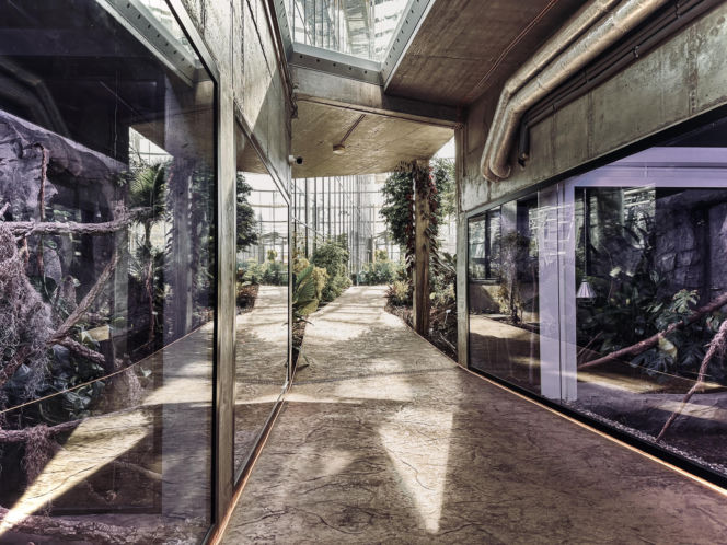 Egzotarium w Sosnowcu