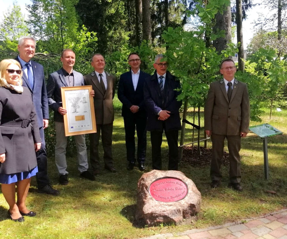 Ogród Botaniczny