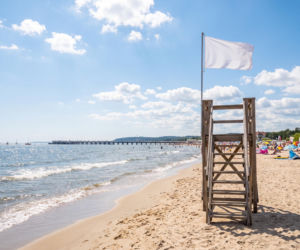 Sinice Sopot. Czy w Sopocie można się kąpać 20.08? Flaga, warunki pogodowe