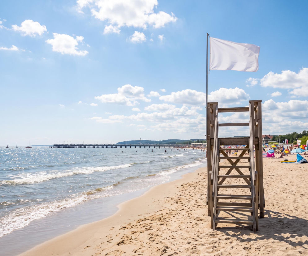 Sinice Sopot. Czy w Sopocie można się kąpać 20.08? Flaga, warunki pogodowe