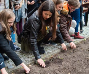 Fundacja Pomóż Im. Po raz dziesiąty zaczęli siać Pola Nadziei [ZDJĘCIA]