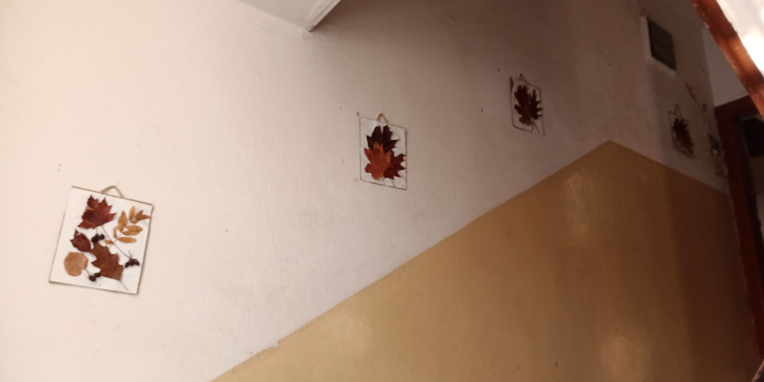 Wysiedlone domy na Krzekowie. W ich miejscu powstanie nowa ulica