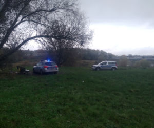 Zwłoki wyłowione z Warty.  Jak przebiegała akcja strażaków i policji. 