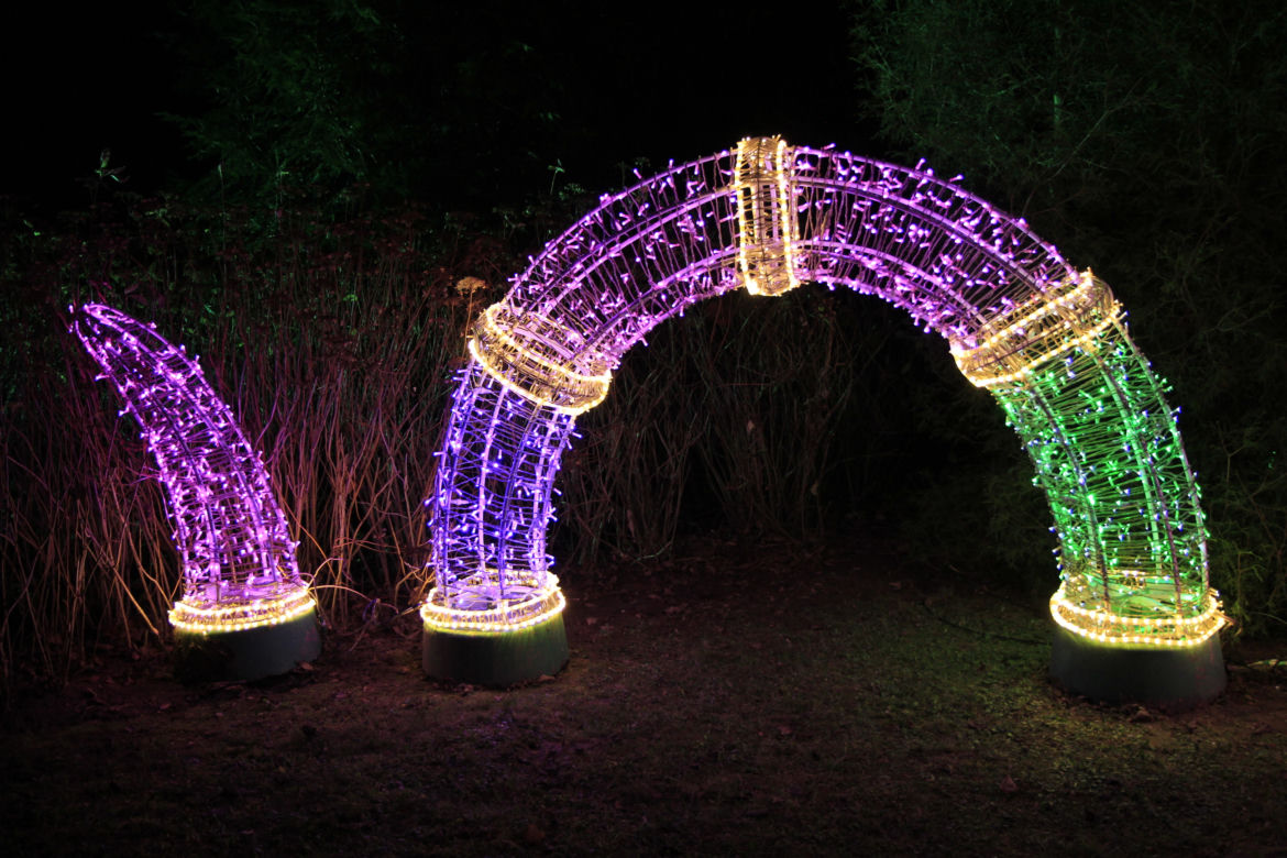 Park iluminacji „Tajemniczy Ogród” w Lublinie