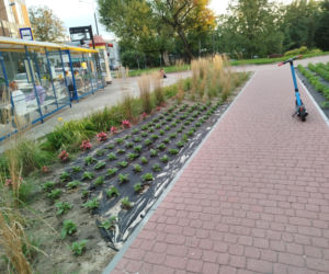 Park kieszonkowy, Siedlce, sala Podlasie