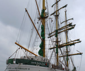 Alexander von Humboldt II