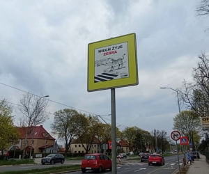 Tutaj giną piesi! Będą zmiany w jednym z najbardziej niebezpiecznych miejsc w Szczecinie