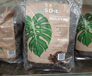 Festiwal Roślin w Enea Arenie