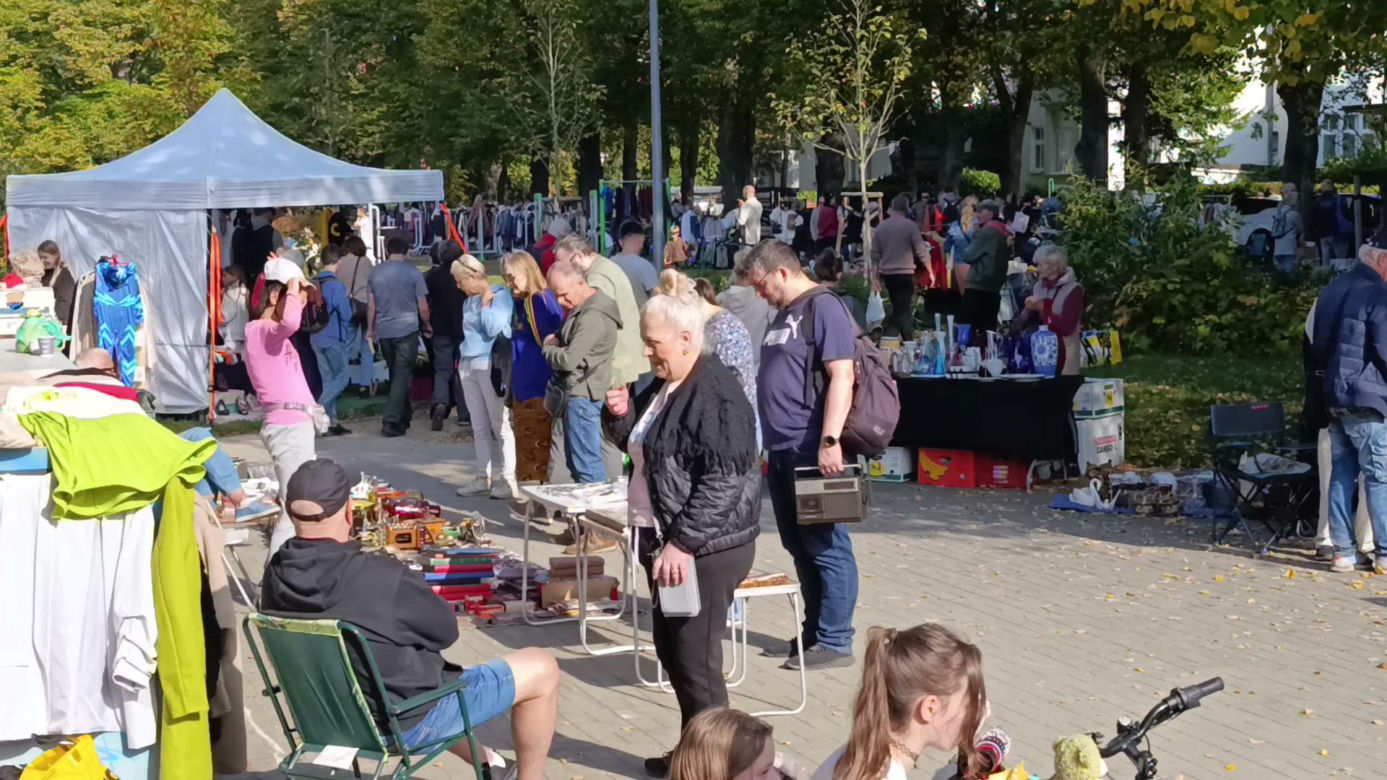 Pchli targ na Pogodnie