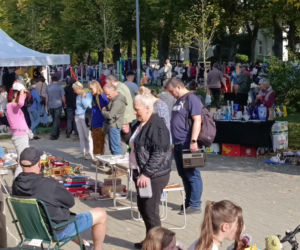 Pchli targ na Pogodnie