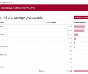 Wybory prezydenckie 2020 w woj. śląskim. W Katowicach i Sosnowcu wygrał Rafał Trzaskowski [WYNIKI W MIASTACH I POWIATACH]