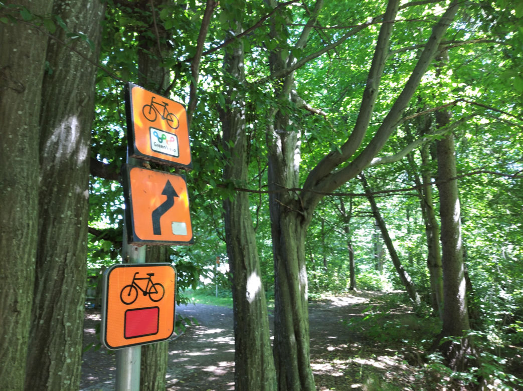 Park w Zwierzyńcu