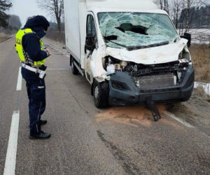 Puszcza Białowieska: Dwa żubry wtargnęły na jezdnię. Nieszczęście było o krok
