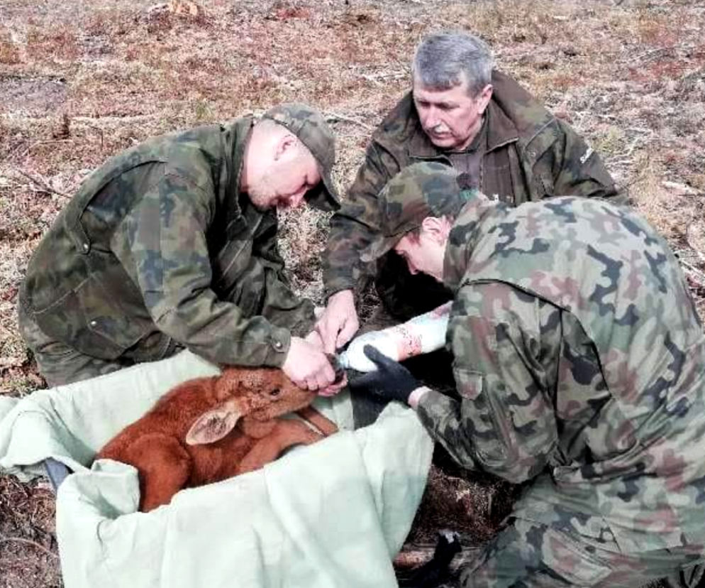 Leśnicy uratowali maleństwo porzucone przez matkę