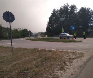 Pożar w Puszczy Białowieskiej