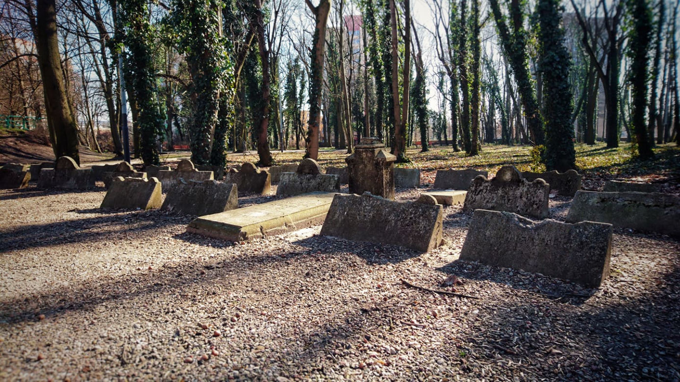 Park im. Tadeusza Rejtana w Łodzi