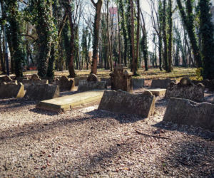 Park im. Tadeusza Rejtana w Łodzi