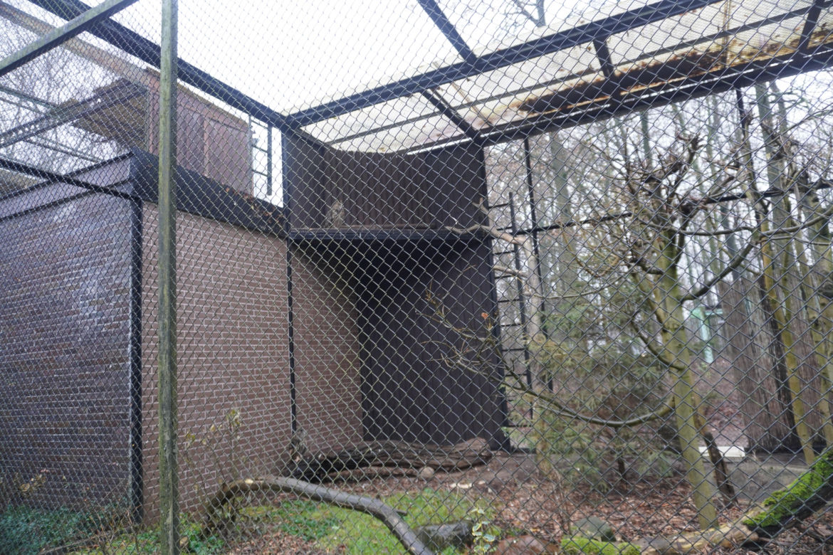 Zoo w Poznaniu zimą