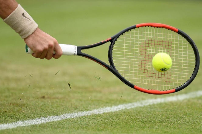 Turniej ATP w 's-Hertogen.jpg