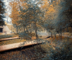 Park Miejski Starachowice