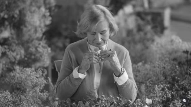 "Na Wspólnej" żegna Bożenę Dykiel