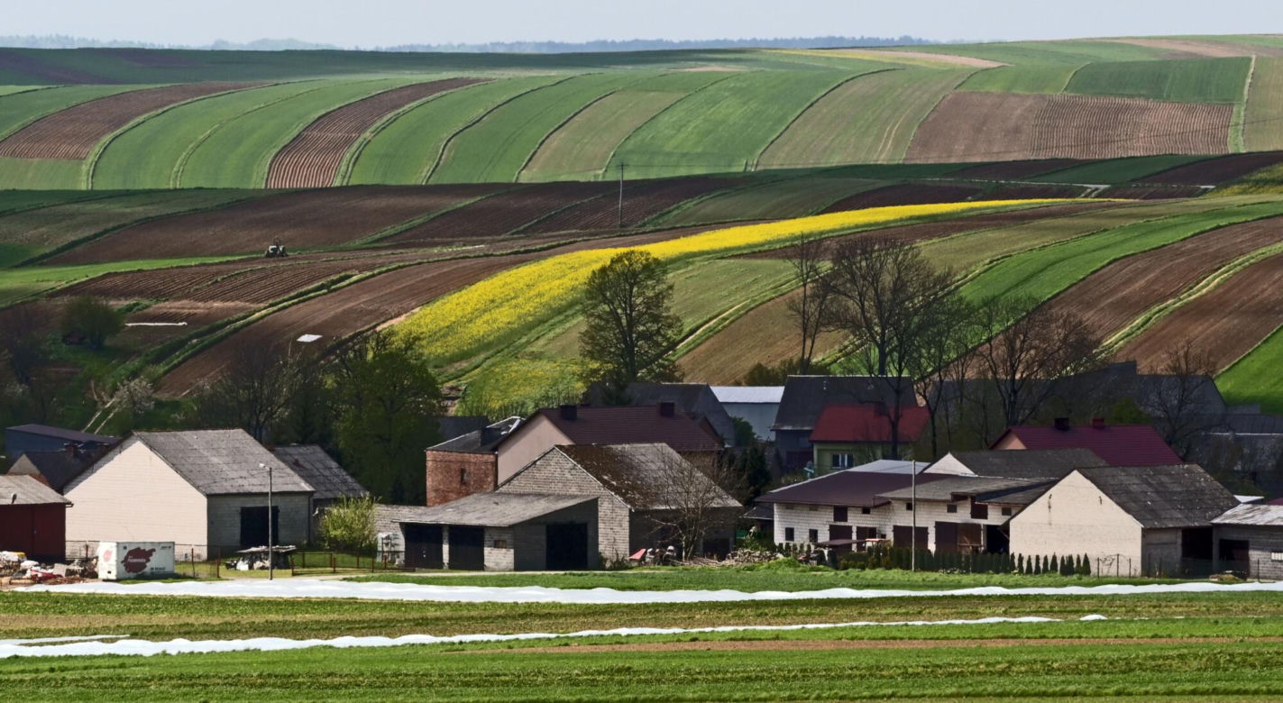 Wyjątkowa małopolska wieś na Szlaku Orlich Gniazd. Zachwycają się nią nawet za granicą 