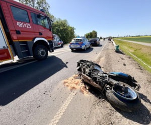 Na trasie między Malborkiem a Swarożynem doszło do zderzenia motocykla i trzech samochodów osobowych