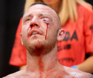 Gromda Fight Club