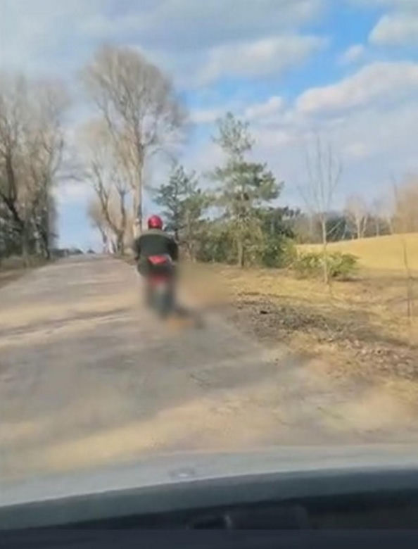 72-latek ciągnął psa za motorowerem. Zwierzę nie przeżyło