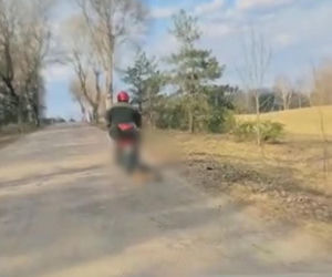 72-latek ciągnął psa za motorowerem. Zwierzę nie przeżyło