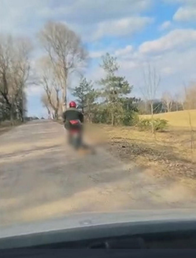 72-latek ciągnął psa za motorowerem. Zwierzę nie przeżyło