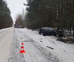 Wypadek na terenie gminy Adamów