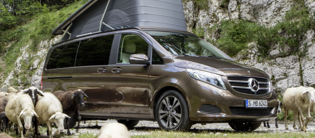 Mercedes Marco Polo Activity