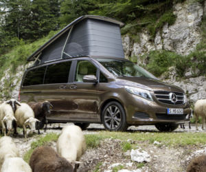 Mercedes Marco Polo Activity