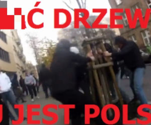 Marsz Niepodległości memy