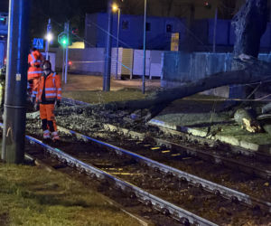 Powalone drzewa i awarie prądu w części województwa