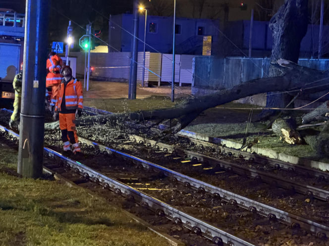Powalone drzewa i awarie prądu w części województwa