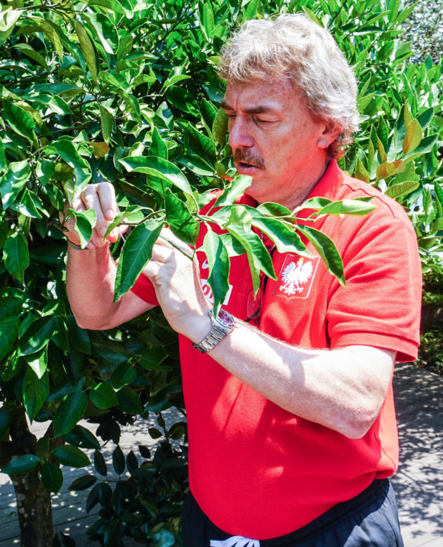 Tak zmieniał się Zbigniew Boniek
