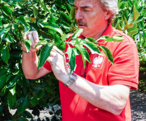 Tak zmieniał się Zbigniew Boniek