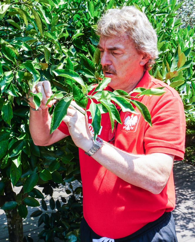 Tak zmieniał się Zbigniew Boniek