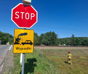 Wypadek na przejeździe kolejowym w Wąchocku