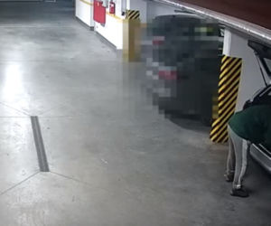 Próbowali włamać się do samochodu. Szuka ich policja z Torunia