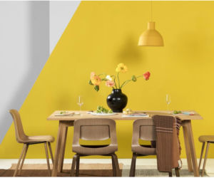 Kolor Roku 2021 Instytutu Pantone 