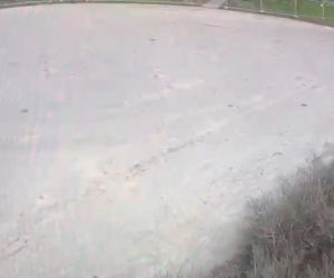 Naznaczyli młodego kibica symbolem swojej drużyny