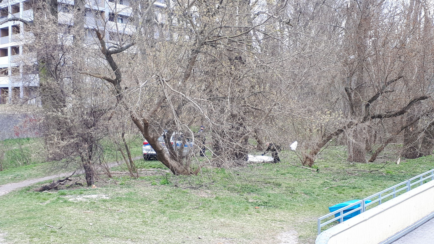 Makabra na Grochowie. Zwłoki w krzakach przy galerii handlowej