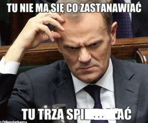 Donald Tusk memy