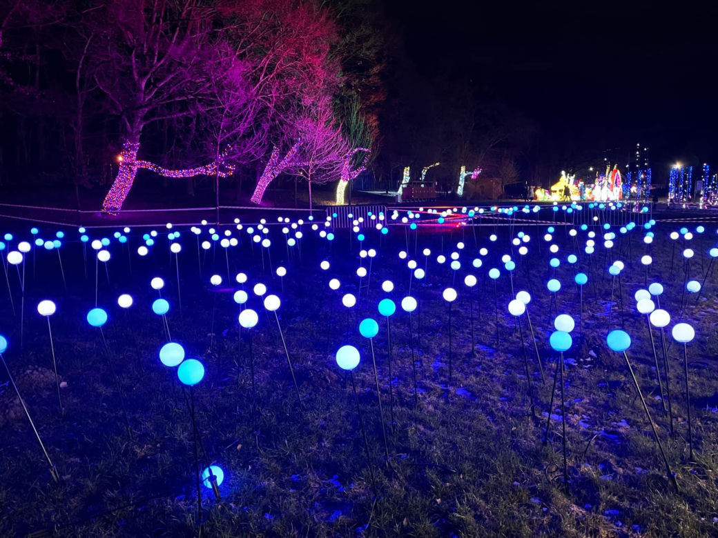 Garden of Lights w Szczecinie