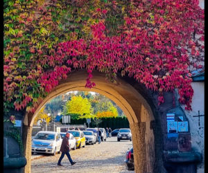 To jedno z najpiekniejszych miasteczek w świętokrzyskim