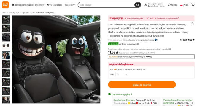 Włamywacze przebrali się za zagłówki samochodowe