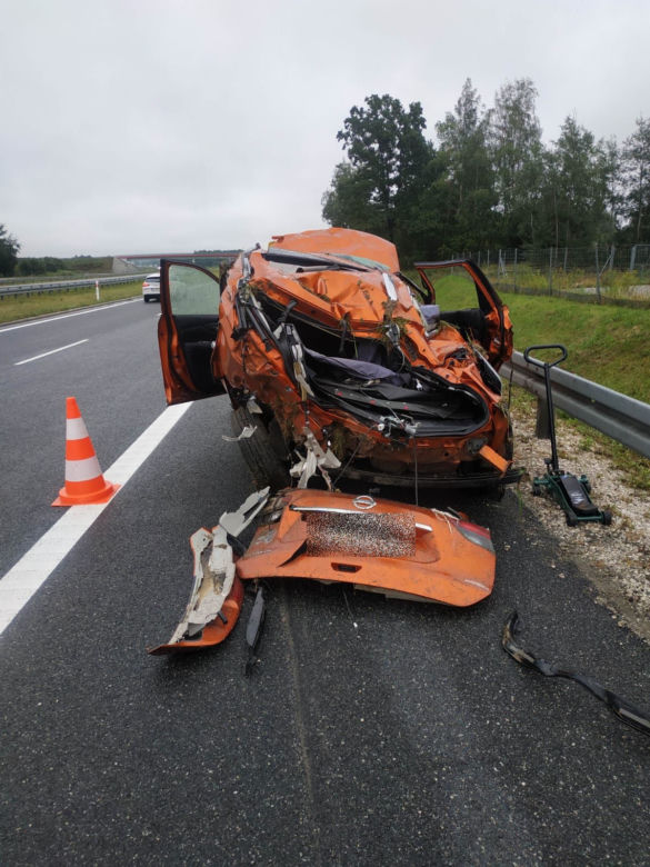 Szukają psa, który zaginął podczas wypadku na A4